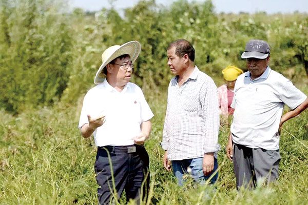 李安平在中药材基地现场考察